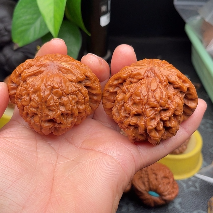 文玩核桃把件全品龙鼎边56