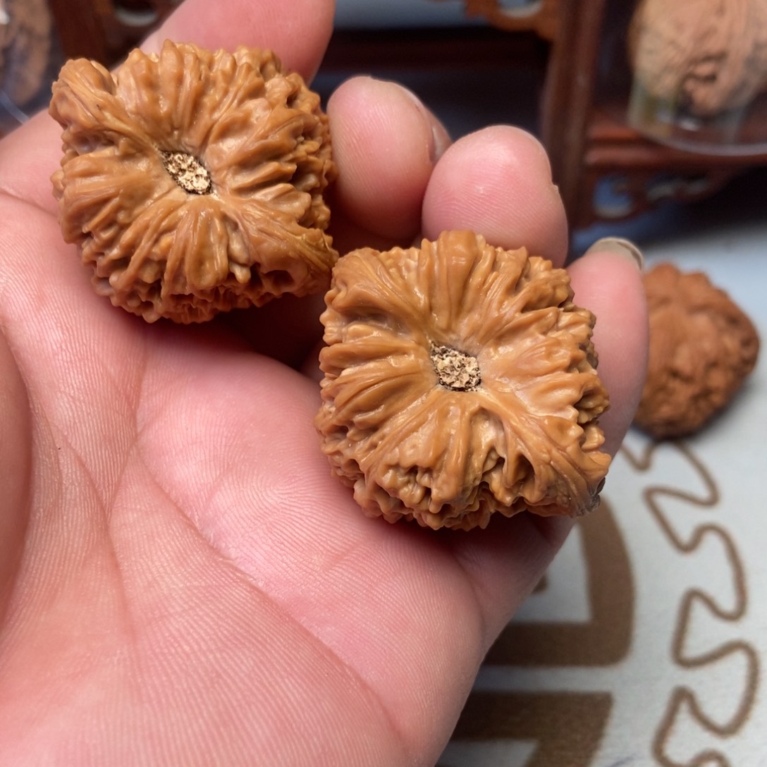 大叶紫檀（黑酸枝木类）