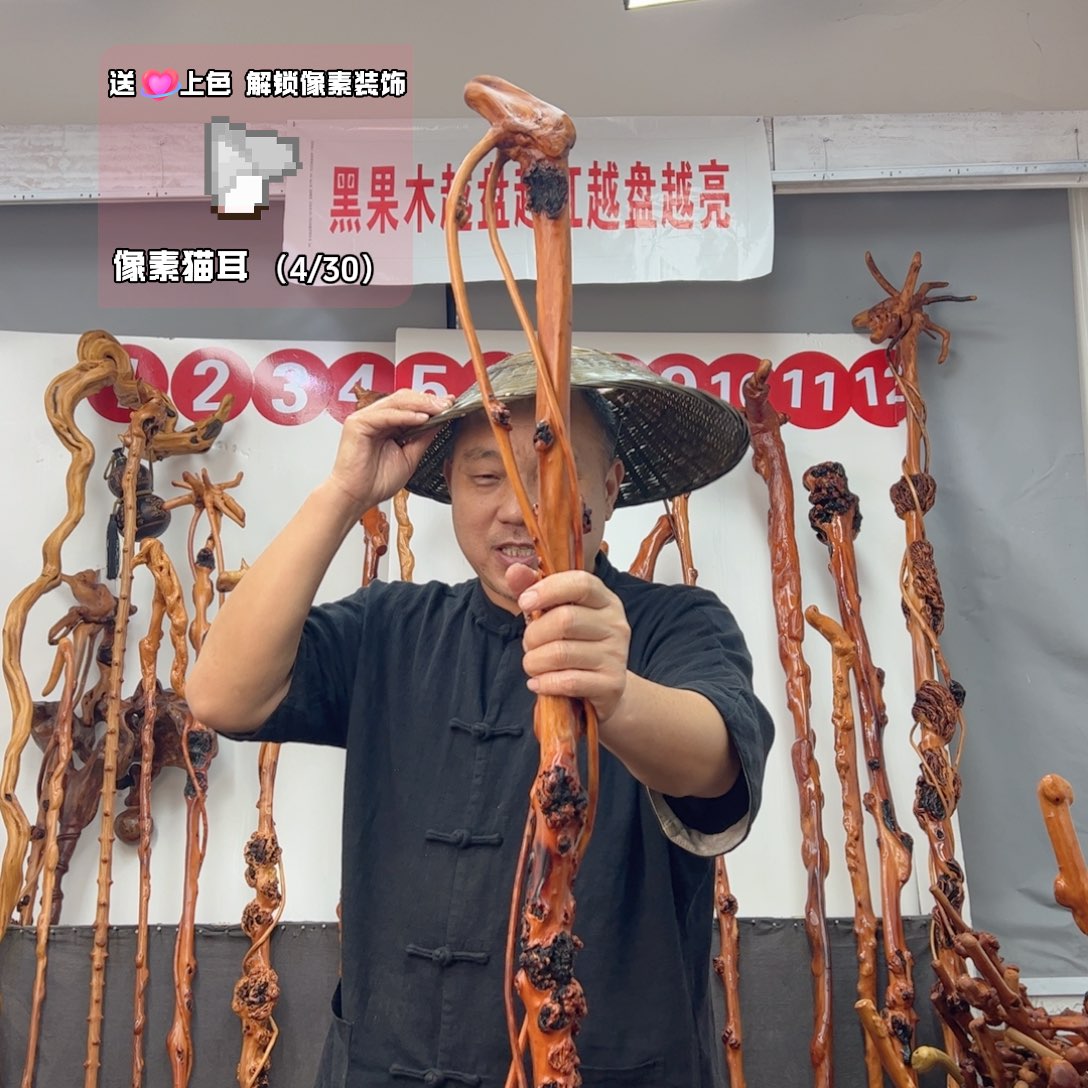 奔***乐黑果木其他黑果木176