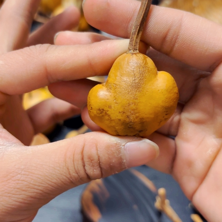 兮风裂888888888888888888