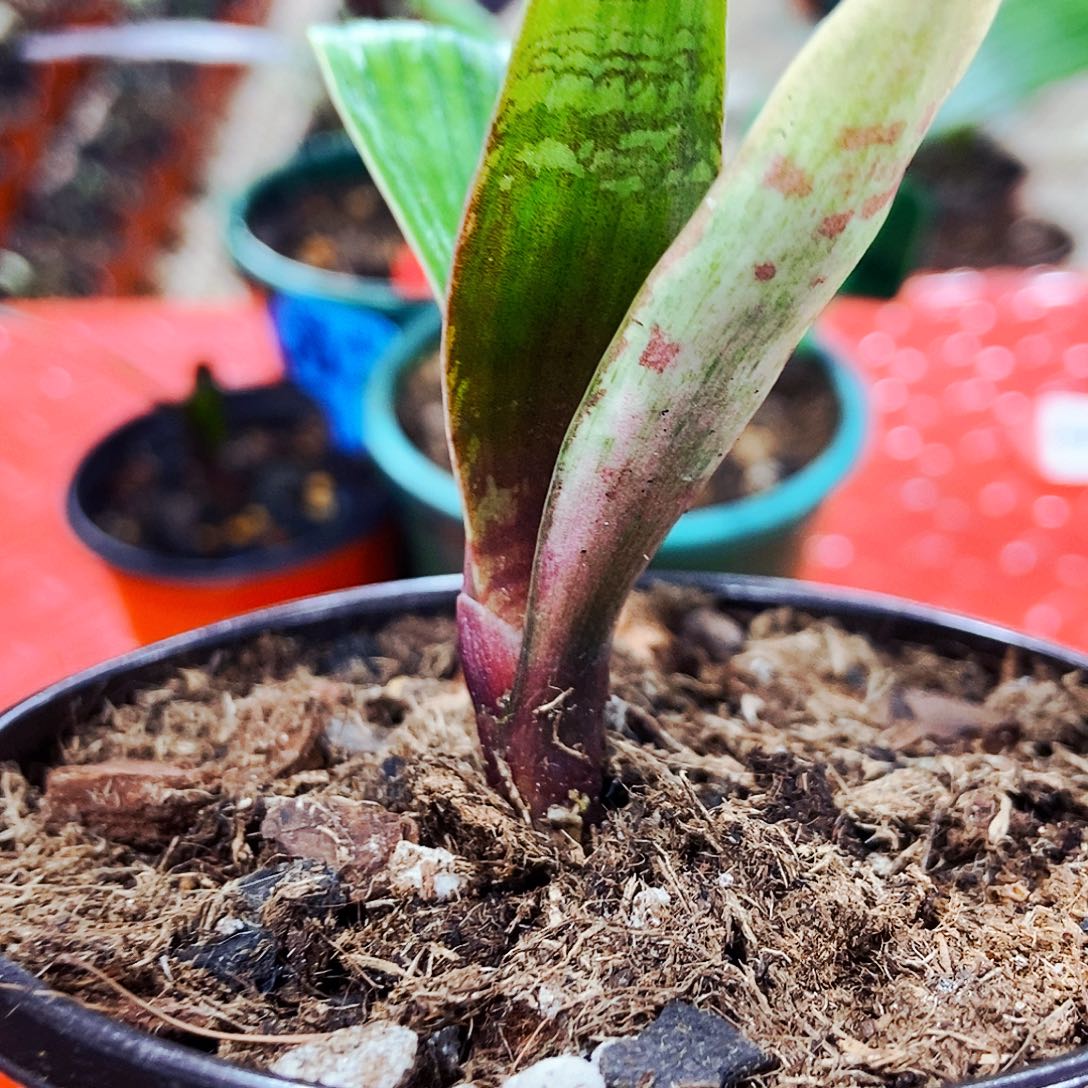 用***1完全开放健健康康快快乐乐