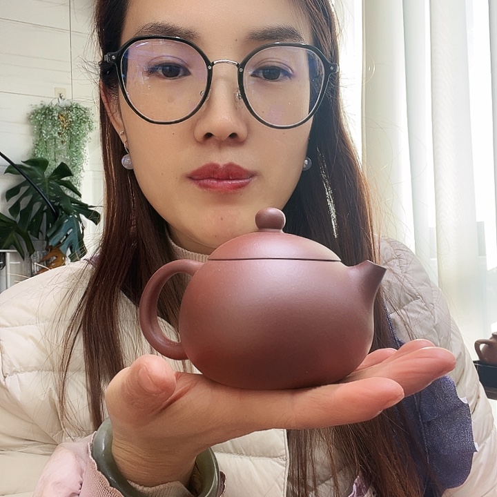 紫砂茶壶羊角山紫泥西施210cc