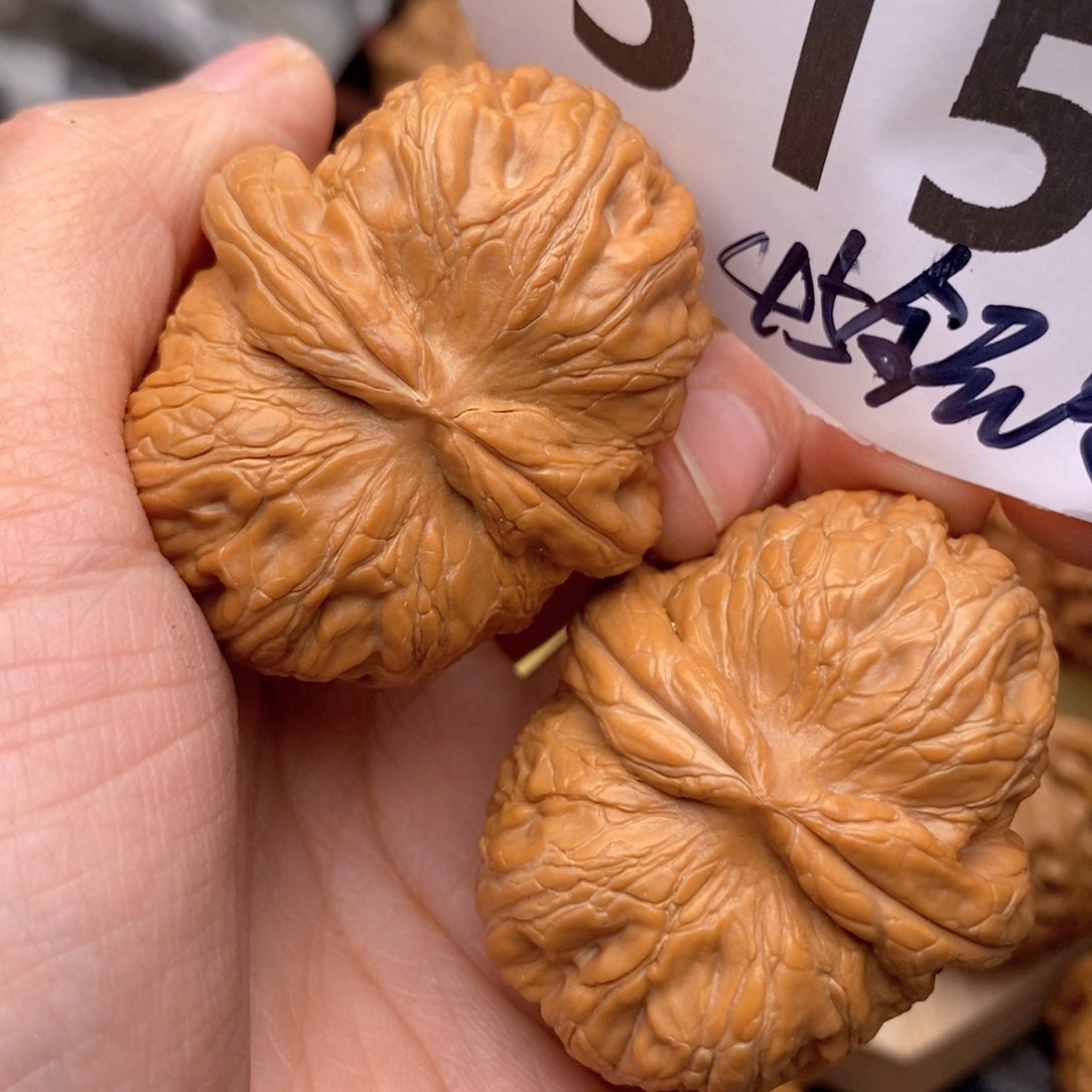 文玩核桃把件315号45quan bao