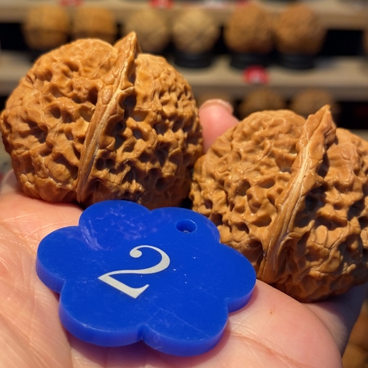 木质类七彩太湖石42尺寸