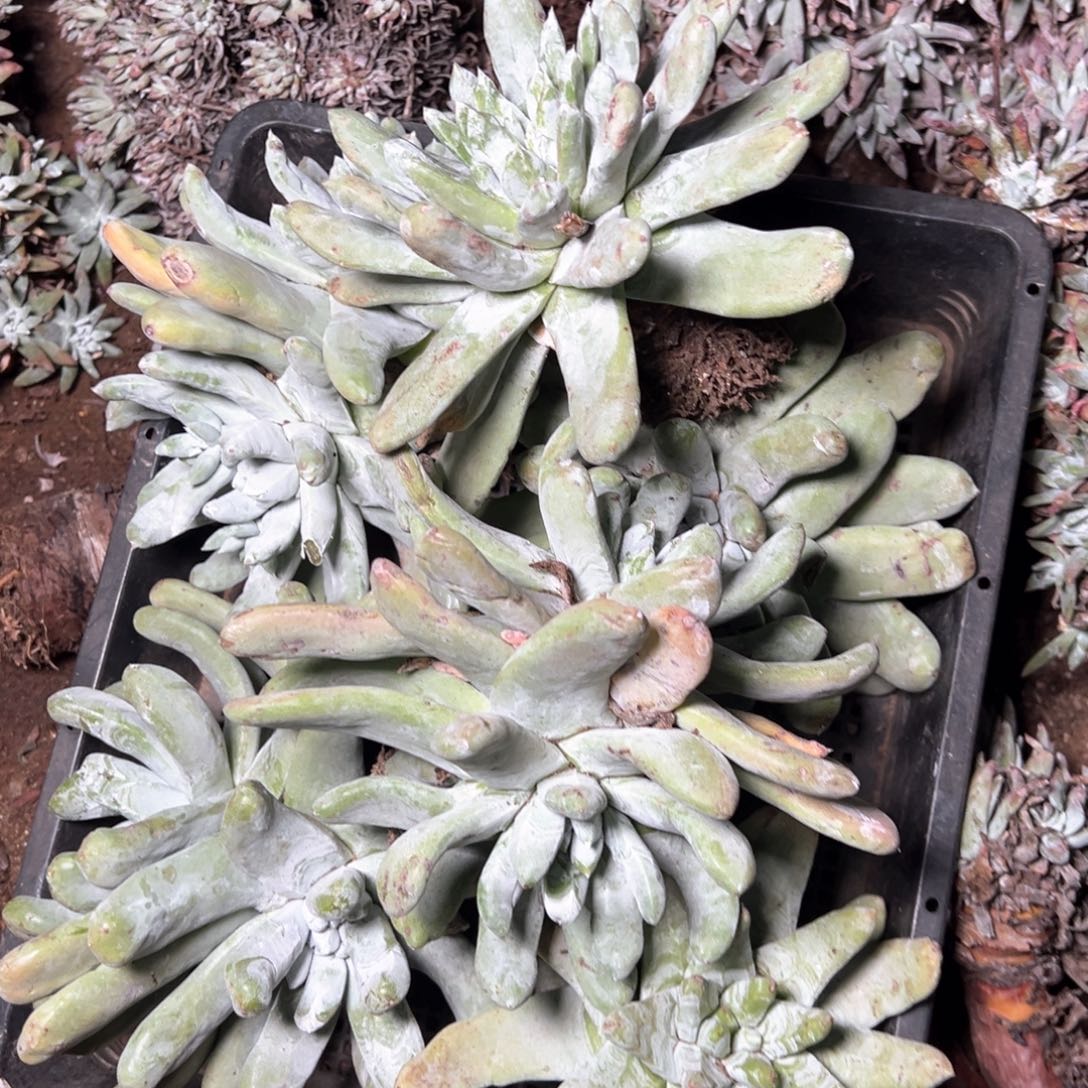 5966哈哈哈哈哈哈哈哈哈