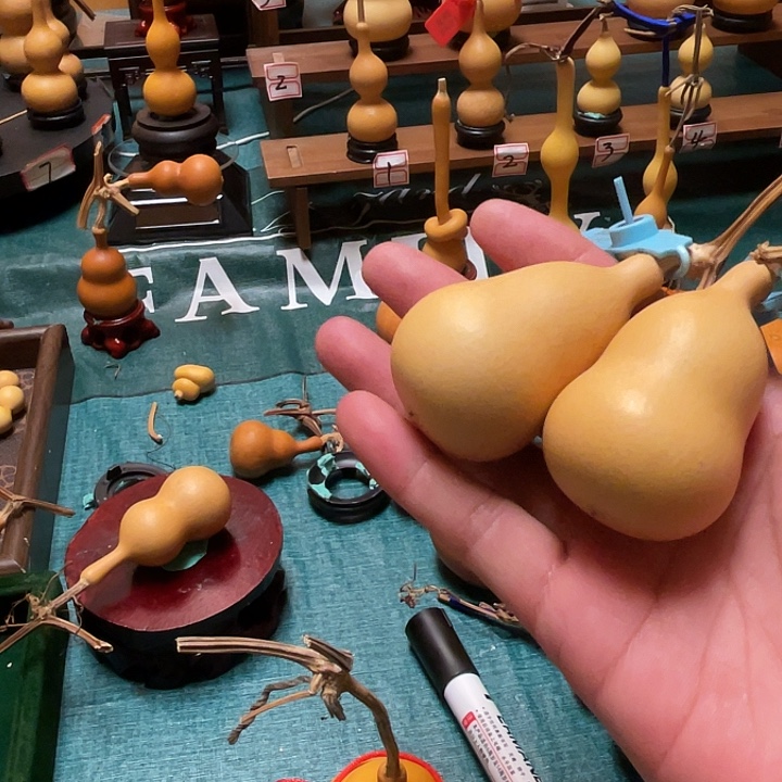 浮***梦呼噜噜噜突突突兔兔