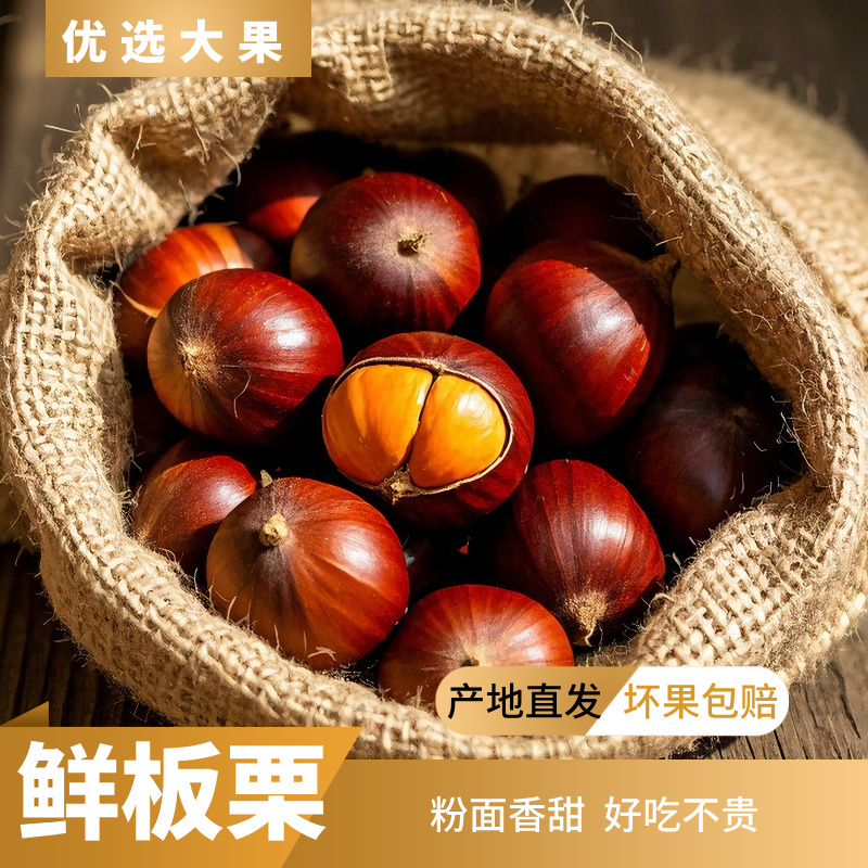 新鲜丹东板栗大果生板栗单果坏果包赔2025新果难剥皮非油栗锥栗