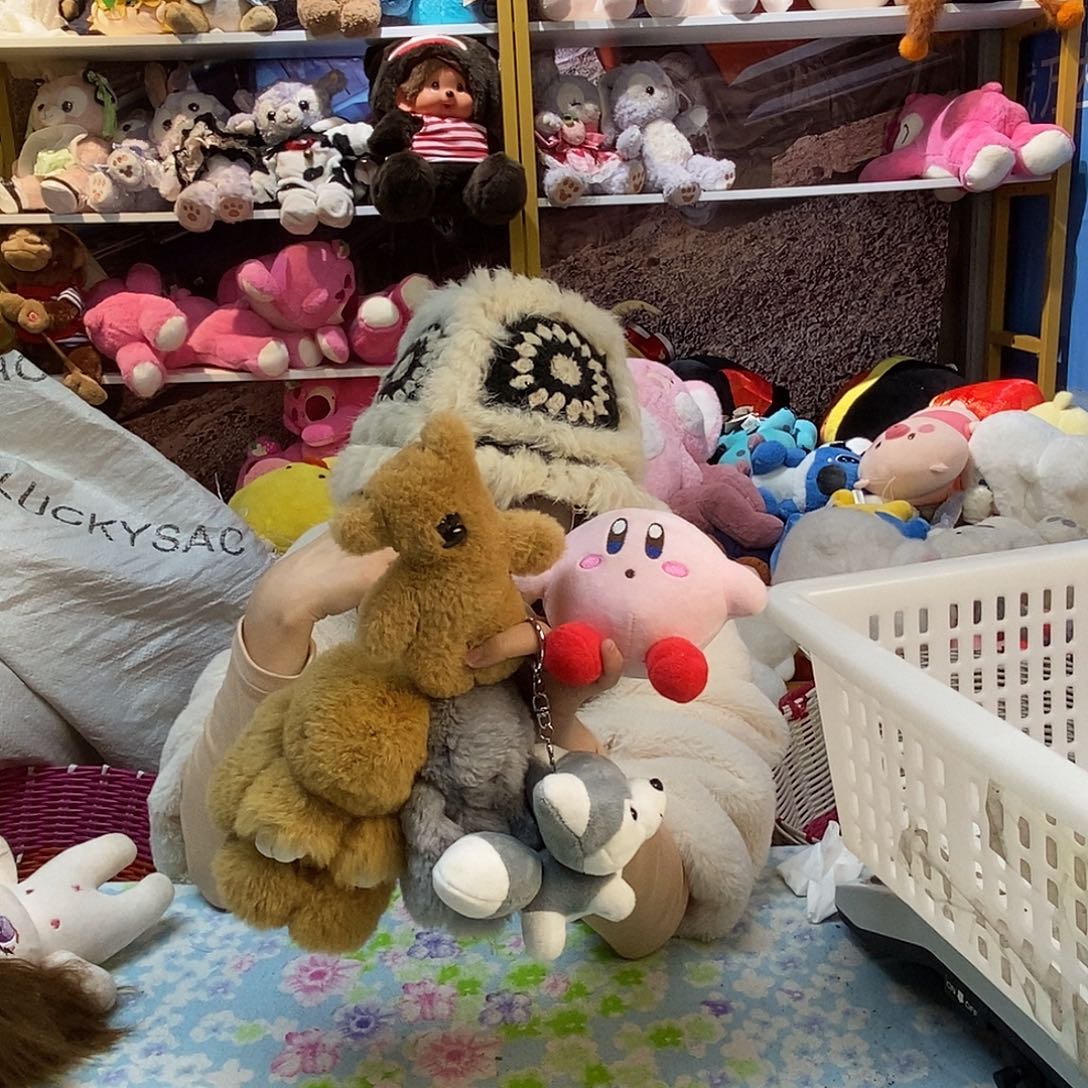 毛绒子**昭毛绒玩具019