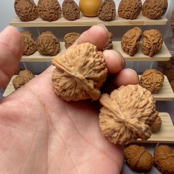 把件核桃40白狮子全品一物一图