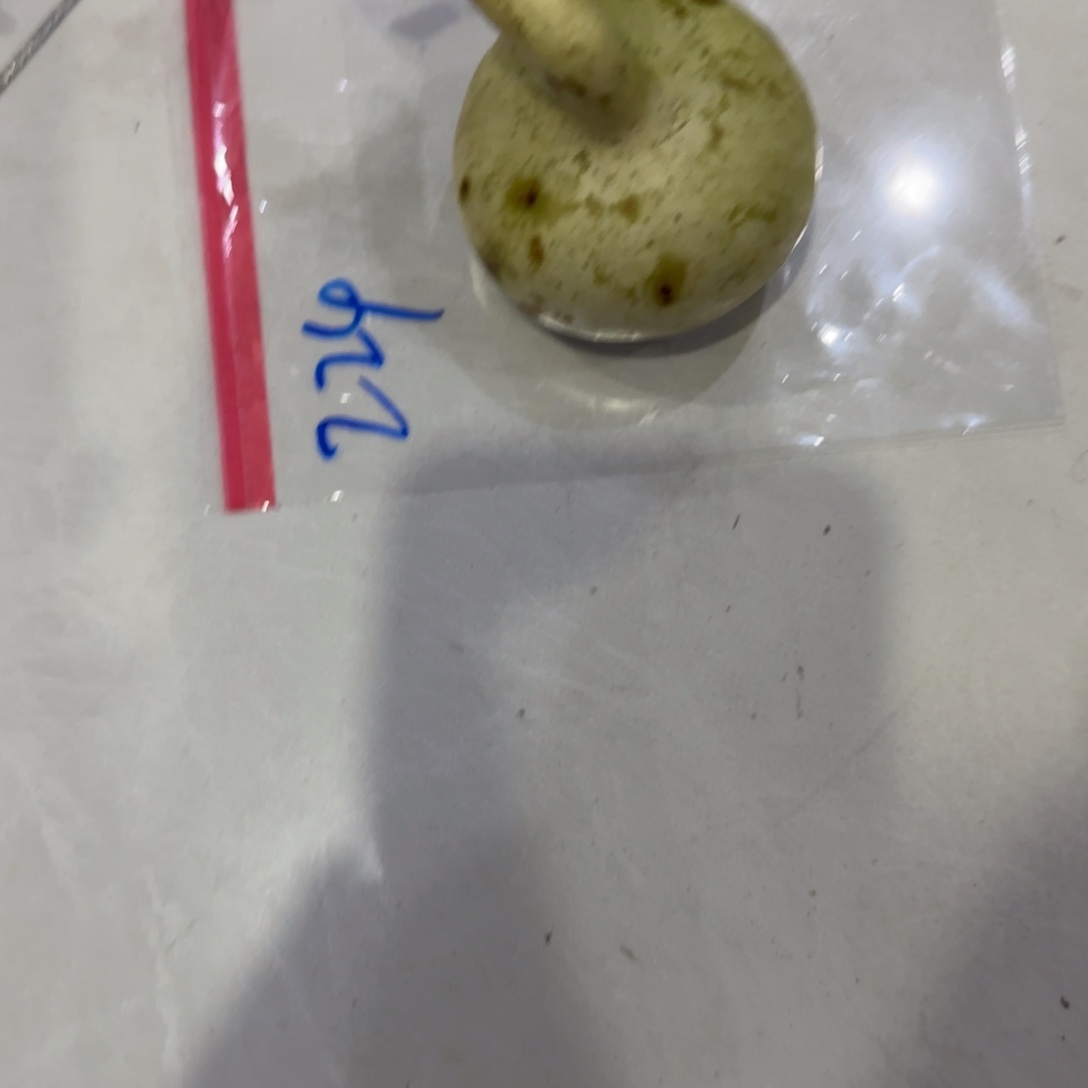 萨***m葫芦咯哦群理论与Tom哦