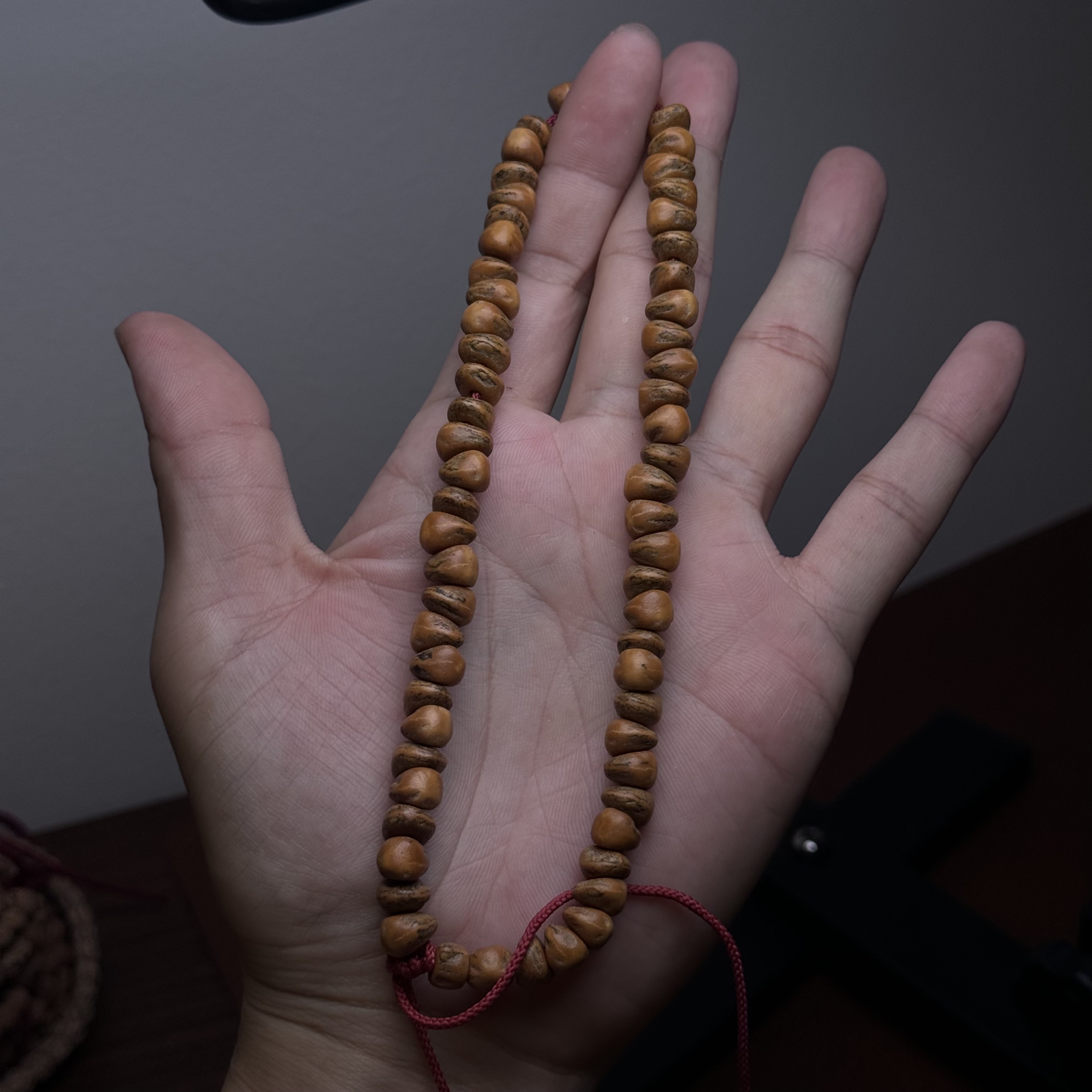 热振柏香籽红肉蒜瓣噶手持