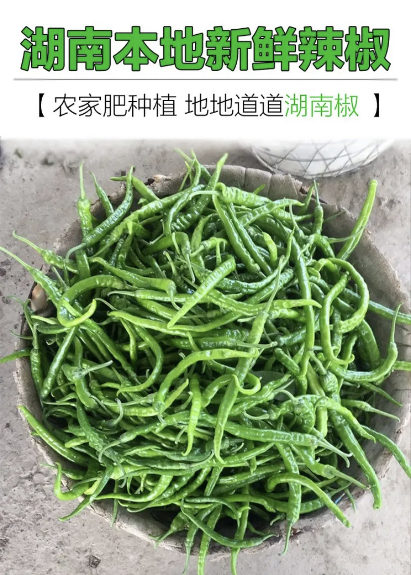 湘西老辣椒 青辣椒