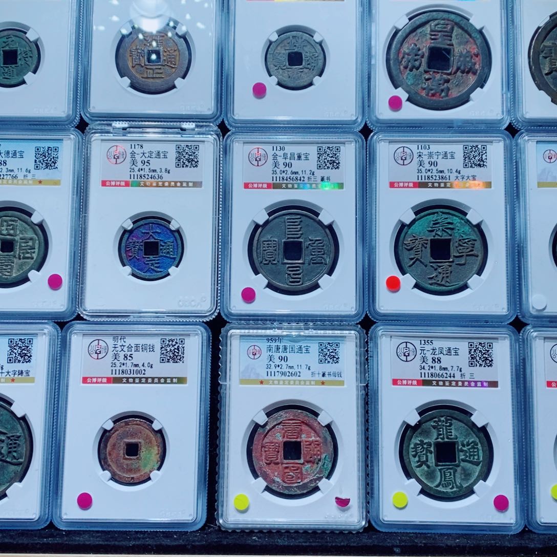 铜直播号专属链接勿拍