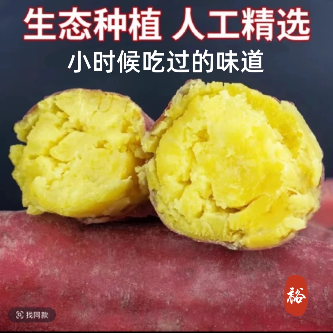【买3送2到手5斤】红薯新鲜现挖软糯香甜的正宗板栗红薯特好吃r1