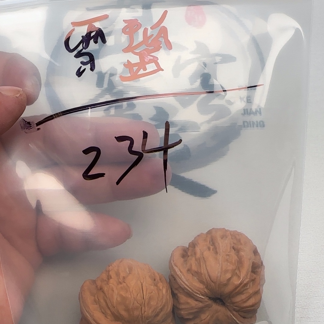 爱***碧2588845699245889999