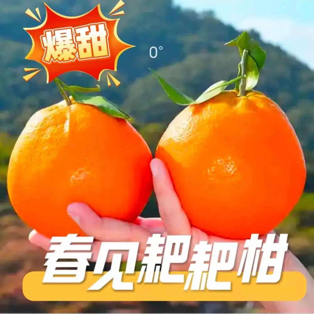 四川春见耙耙柑新鲜水果当季整箱正宗橘子丑柑橘粑粑柑桔大果包邮