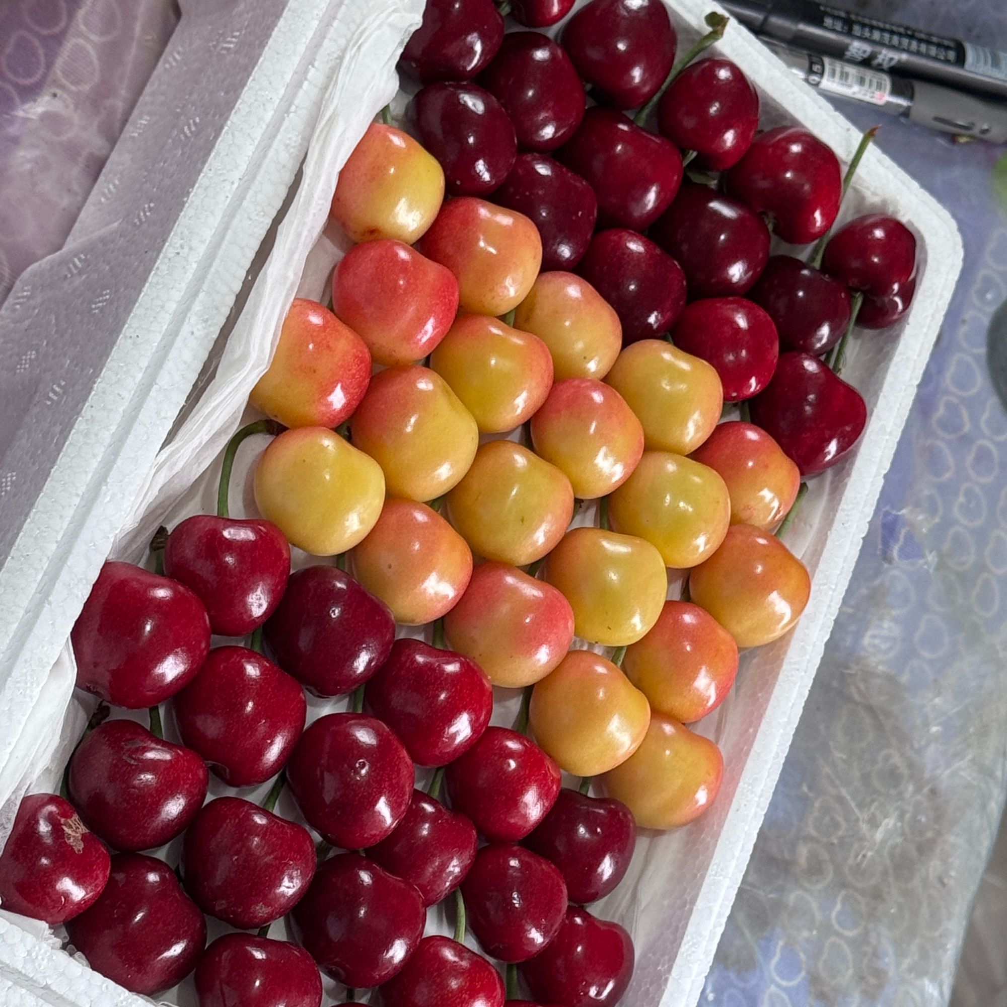 【顺丰次日达】正宗大连陆地美早/俄8/美国红/沙蜜托现摘果农自卖4J10g±3g樱桃水果俄罗斯8号樱桃