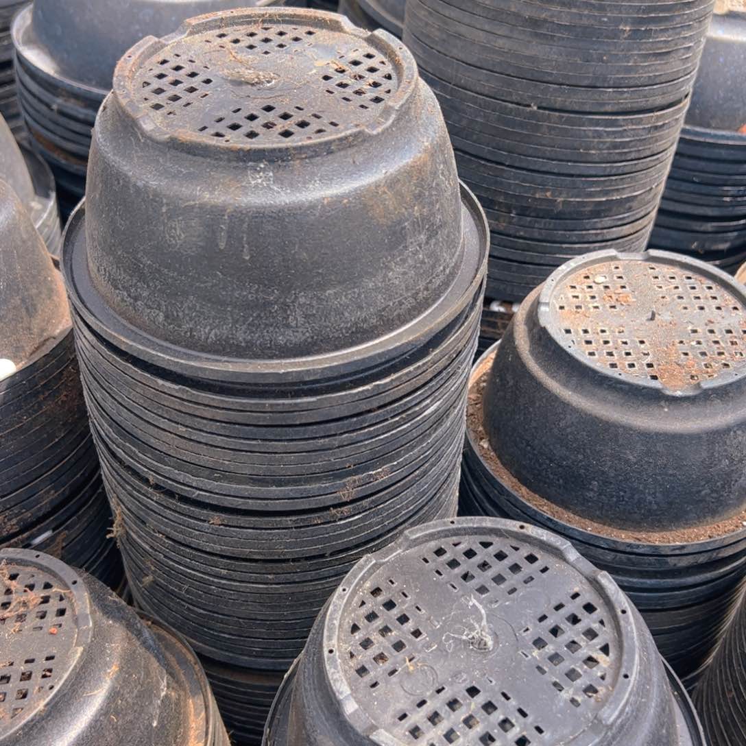 磨砂韩盆16口径7.5高 10个