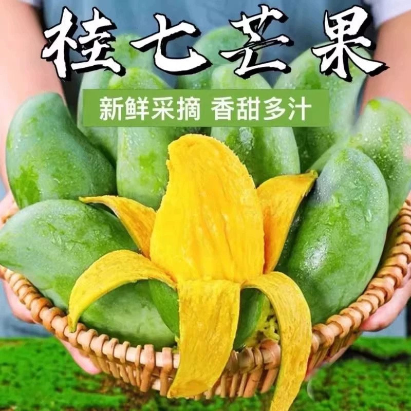 【正宗田东桂七香芒】广西百色田东桂七芒果6/10斤香甜多汁新鲜采摘