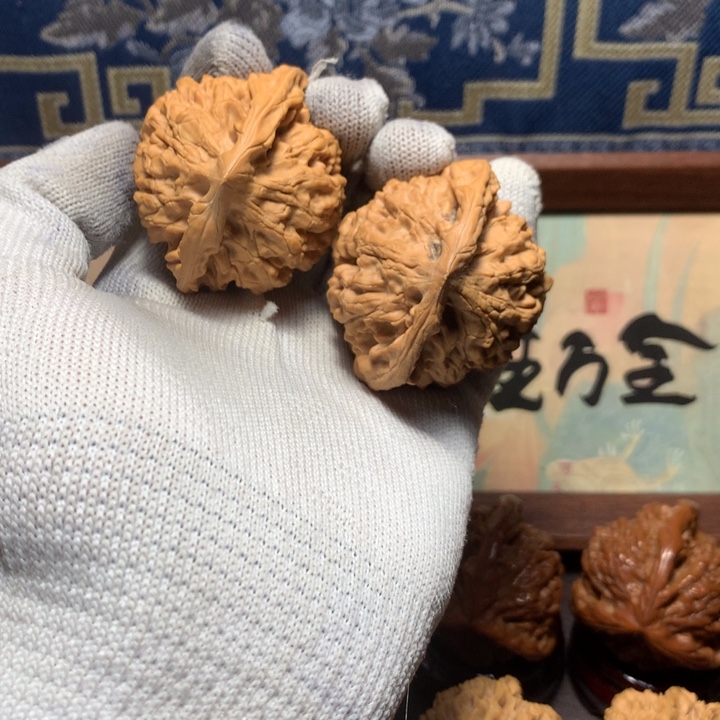 用***5哈哈哈哈哈哈哈哈哈