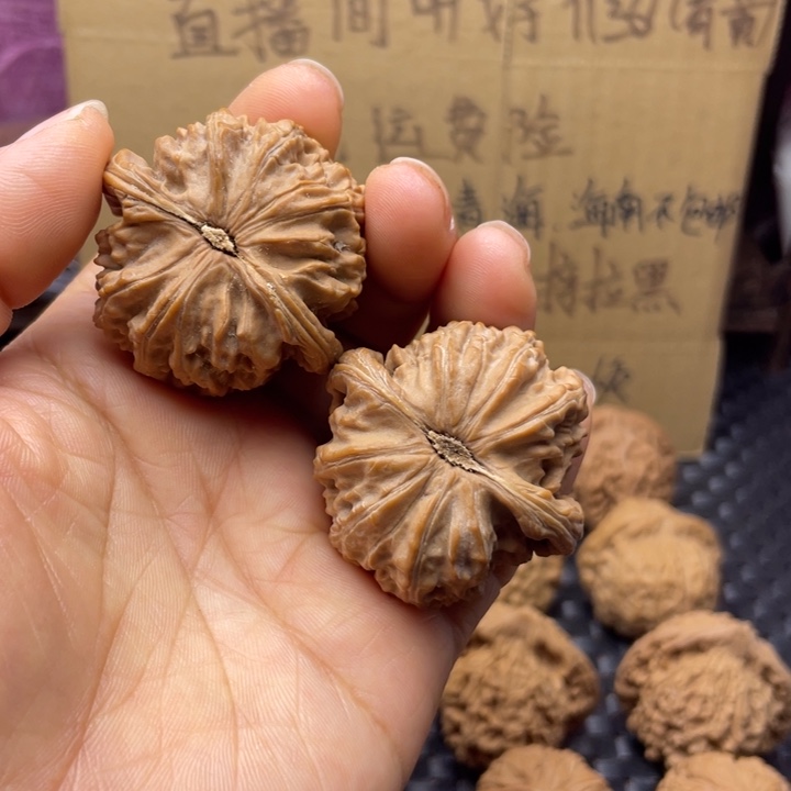 嘟***馋文玩核桃吊坠白狮子有黄不退不换