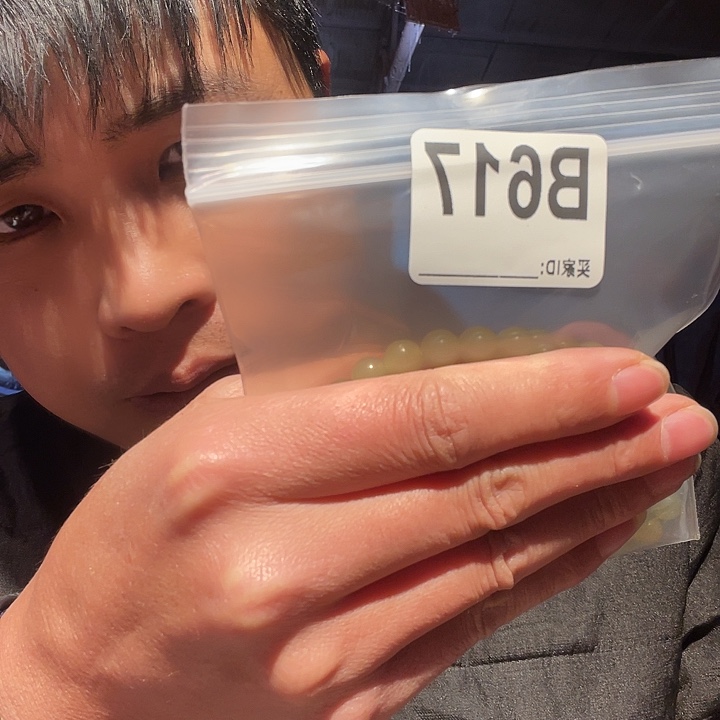 大果紫檀（缅甸花梨）617