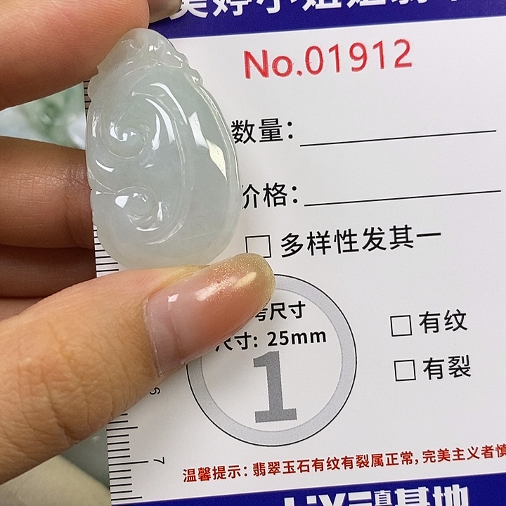 芒***姐翡翠未镶嵌颈饰翡翠