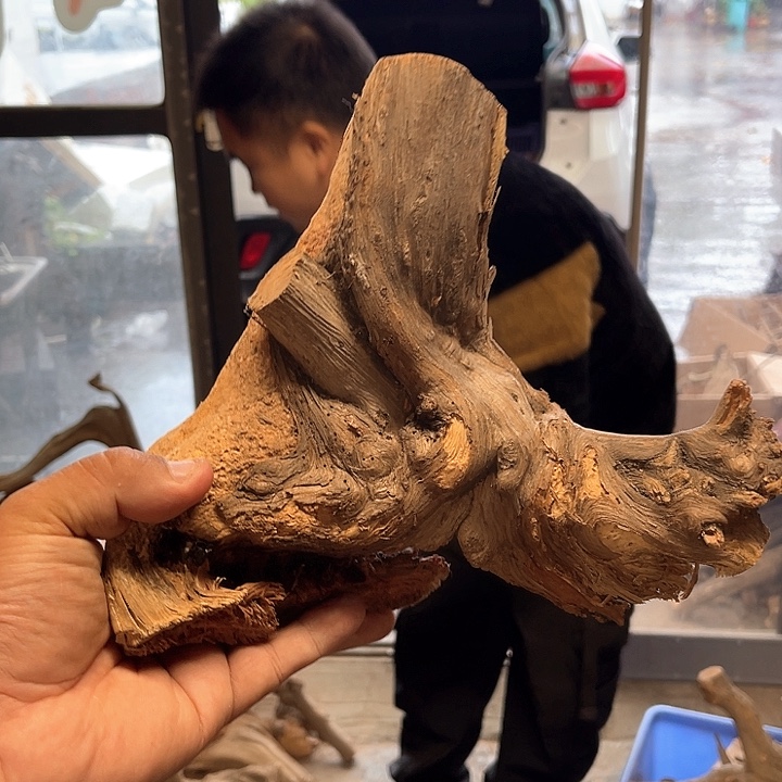 皓***垢柏木（崖柏）料55556