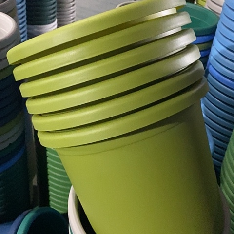 树脂特价5号6个无托果绿