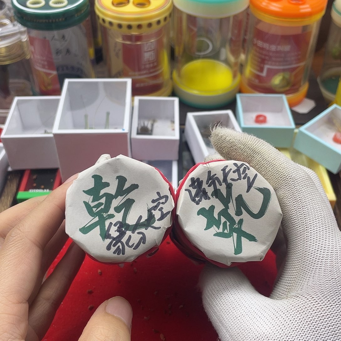 用***空蟋蟀新的一年希望自己能有个好的开始吧