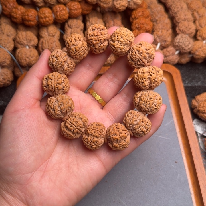 菩提5号尼泊尔大金刚23五瓣梅花