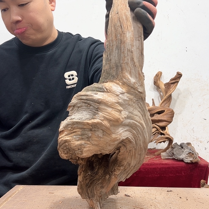 柏木昊**输我们都是好孩子呀我也是