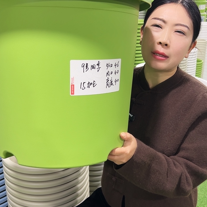 特价9号四季口46高40果绿1只无托