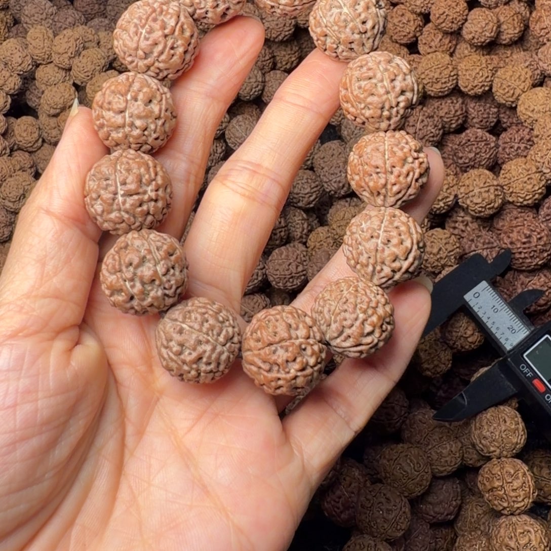 手串金刚菩提8瓣卡18尺，93号