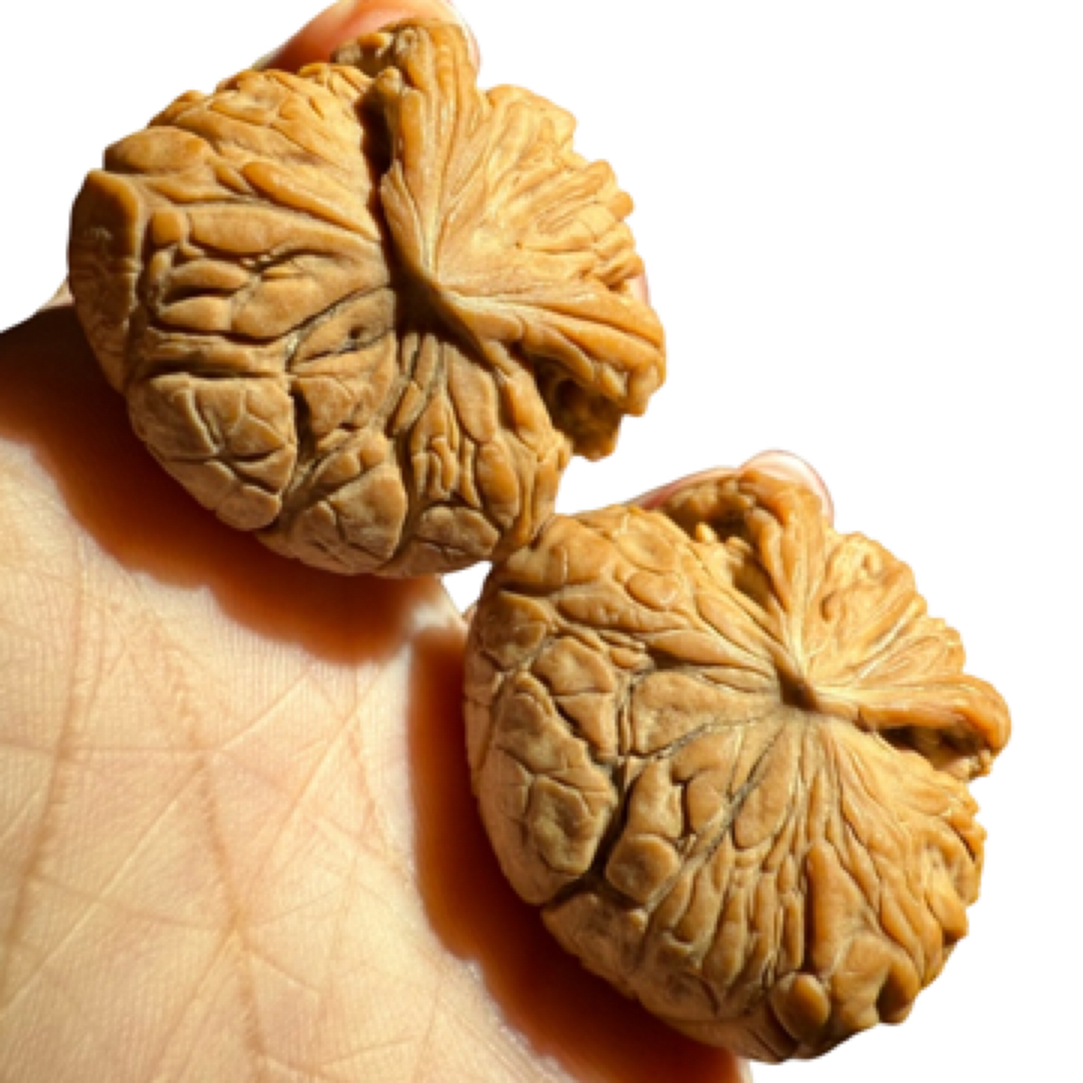 文玩核桃南疆石异形小白兔南疆石核桃