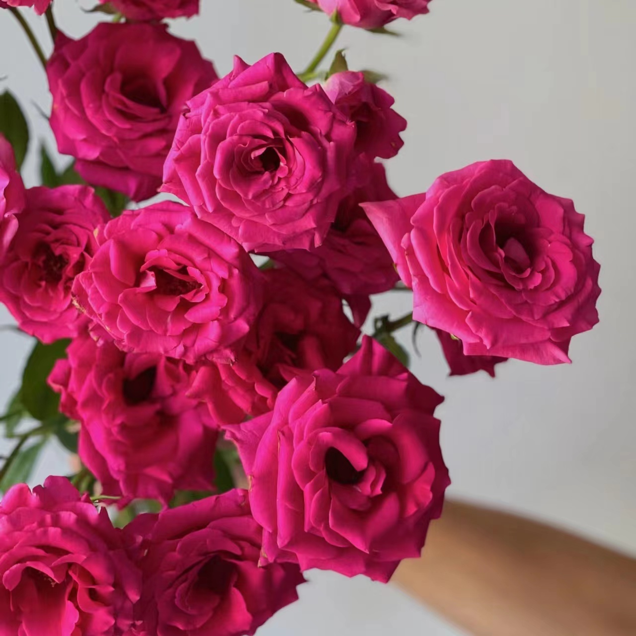 【小阿阮】A级多头玫瑰#弗洛伊德#玫红色高级鲜插花装饰 顺丰空运