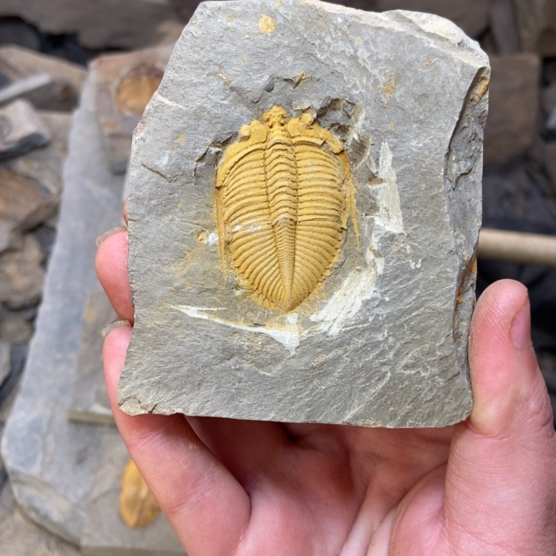 大***形石材111111111111111