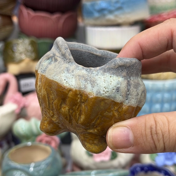 多肉植物陶瓷花盆