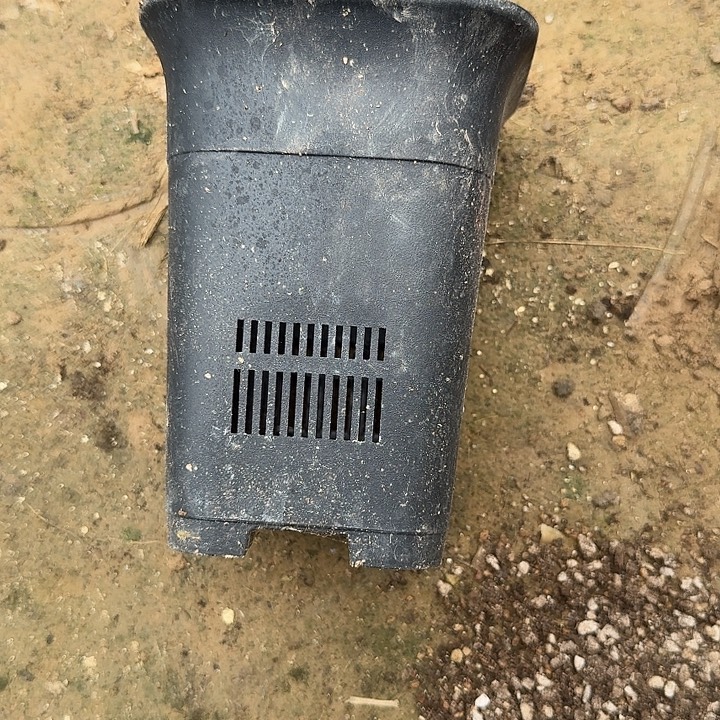 可***欣12带孔万象8个发货