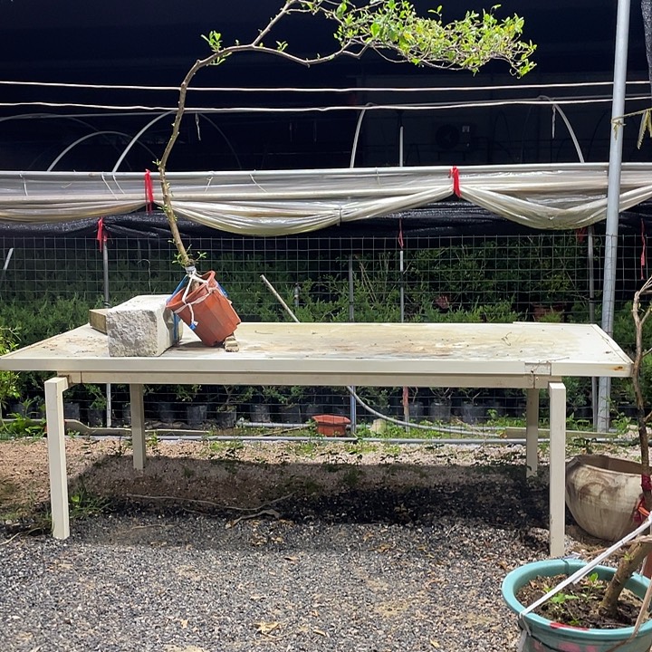 徐***娘无花朵11111111111111