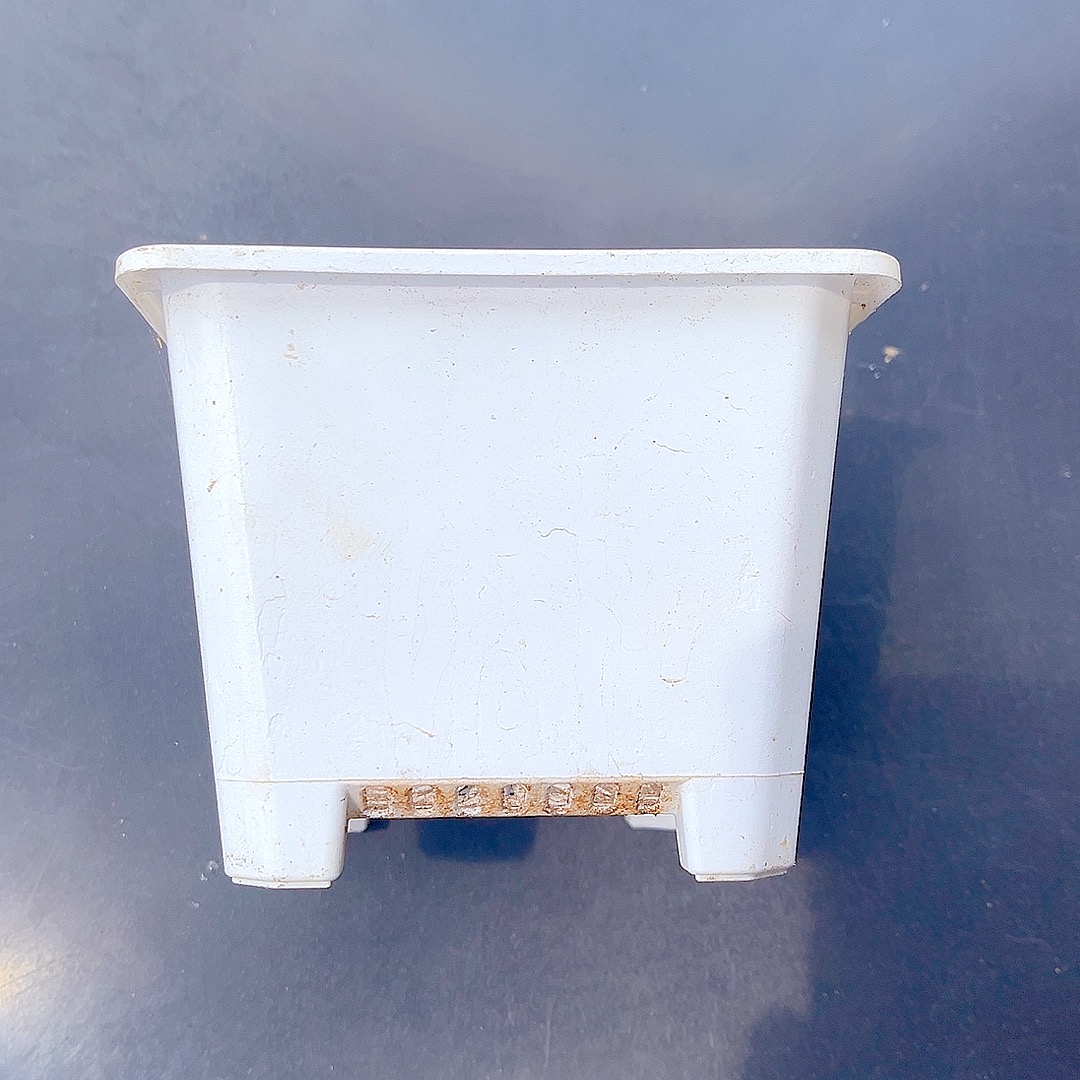 （多肉盆）家用花盆 多肉花盆 绿植花盆  脱土盆 非全新           