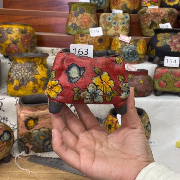 花仙子来熹多肉花盆