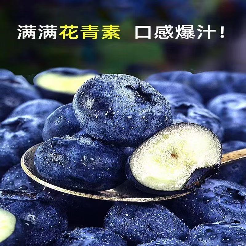 顺丰/EMS包邮 云南新鲜高山花香蓝莓 香甜爆汁富含花青素 肉厚