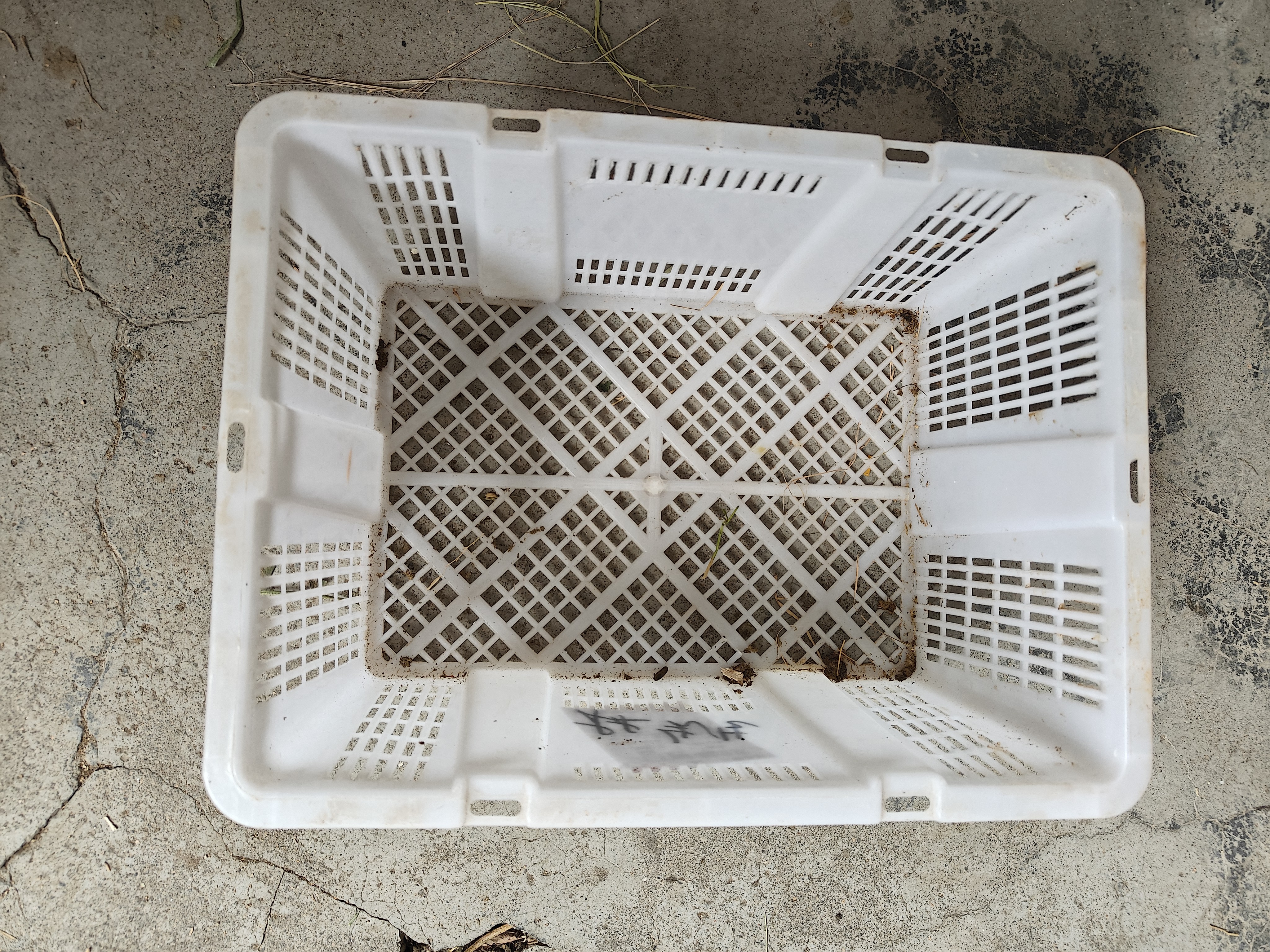 宠物荷兰猪，荷兰猪笼子