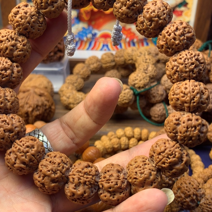 金刚菩提吊坠双龙梅花19