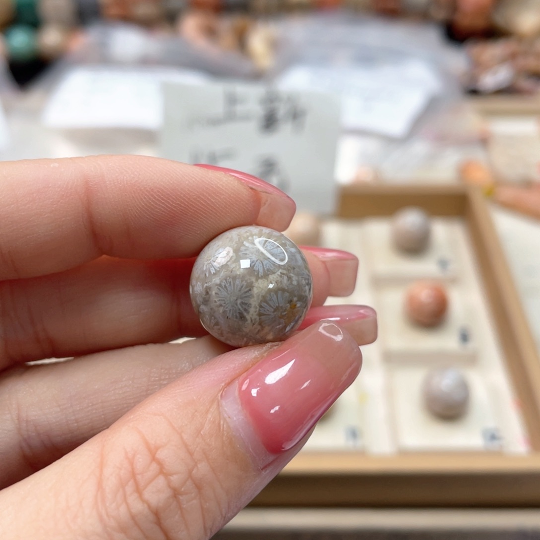 未镶嵌手链硅化珊瑚（珊瑚玉）拜*570