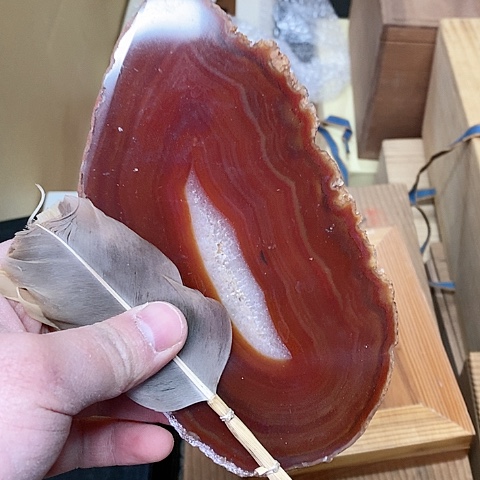 紫砂哈哈哈哈哈哈哈哈哈