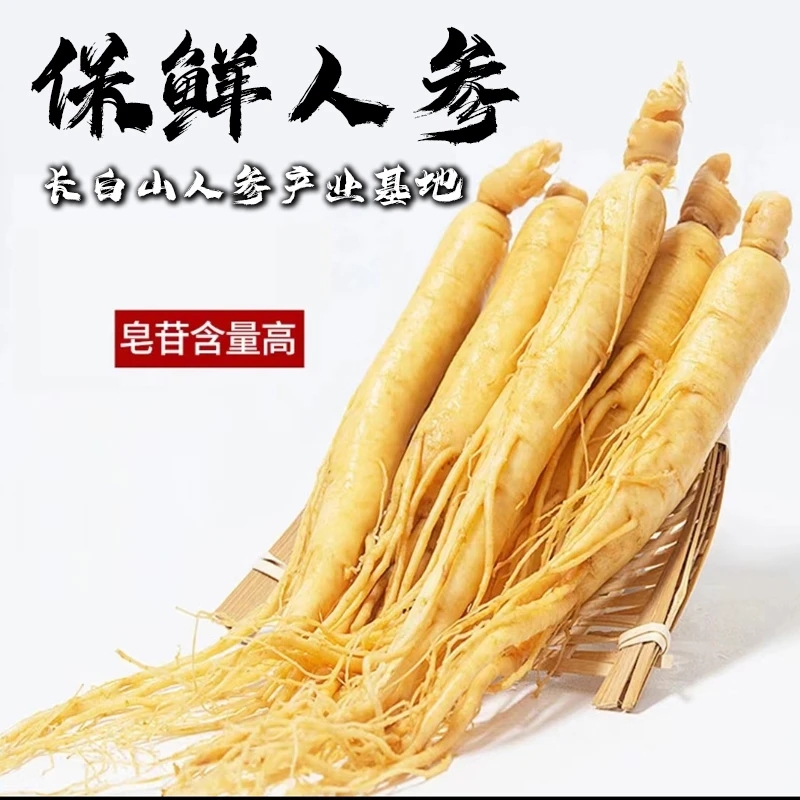 长白山精选单只完整鲜人参滋补泡酒煲汤（以收到实物为准）AA