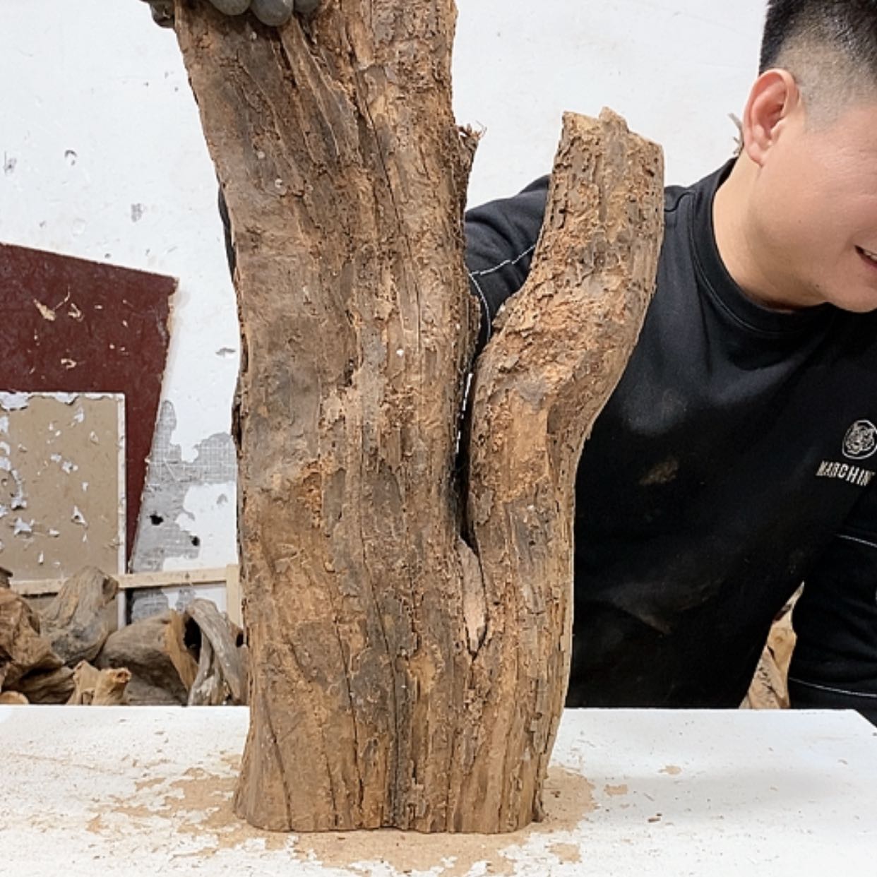 【闪购商品】柏木张我们都是好孩子