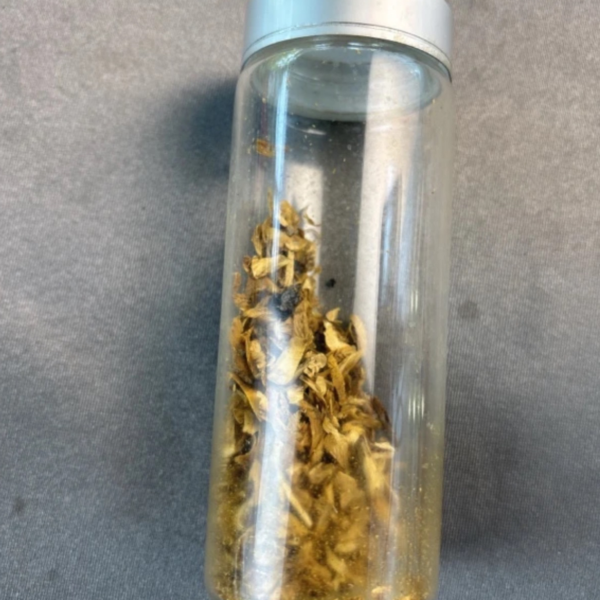 沉香福利款08算盘珠多圈沉水原材料多样性发一